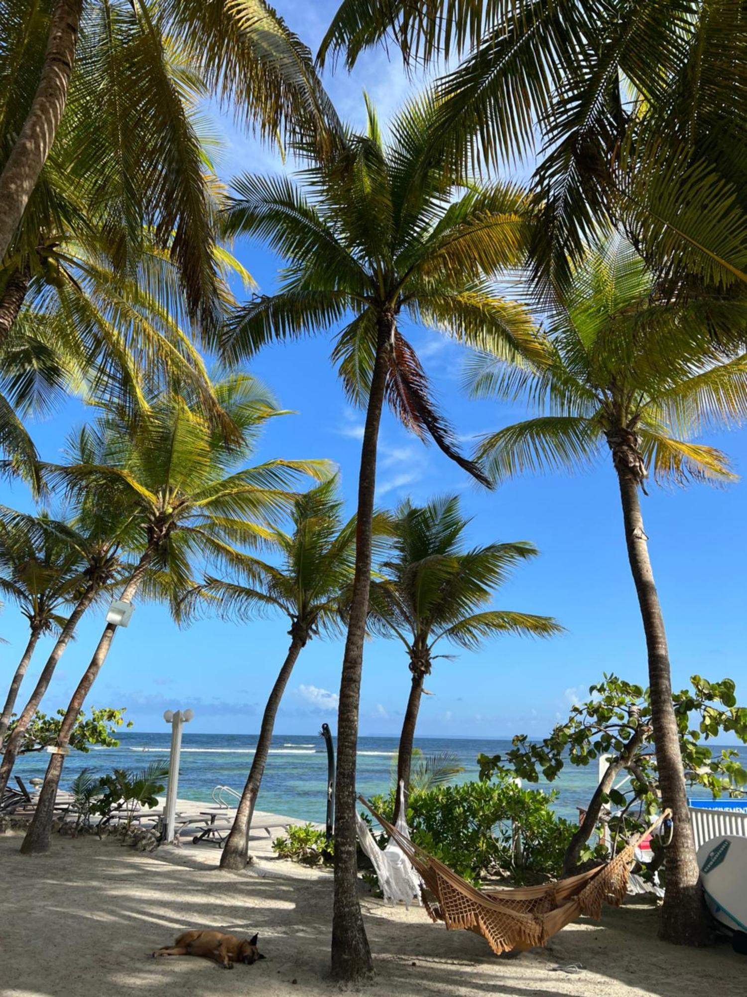 Guadeloupe- Saint-Francois- Residence Anse Des Rochers - Appartement Quart De Villa Etage - Vue Mer- 4 Personnes - Lit Bebe Sur Demande - Citerne Et Wifi Prives -Animaux Ok-Acces Plage Direct -Apnee Bien-Etre Experience Sur Demande Avec Instructeur A Екстер'єр фото
